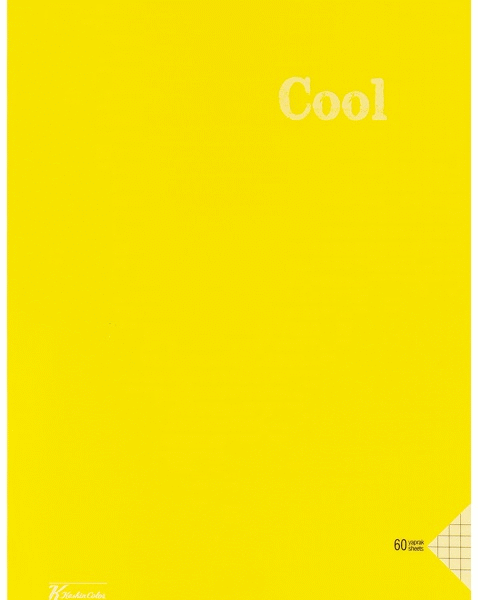 KESKİN DEFTER COLL A4 SPİRALLİ PP KAPAK 72 YP. ÇİZGİLİ 321611-99