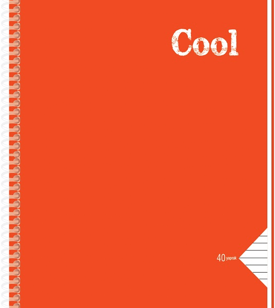 KESKİN DEFTER COLL A4 SPİRALLİ PP KAPAK 96 YP. KARELİ 321632-99