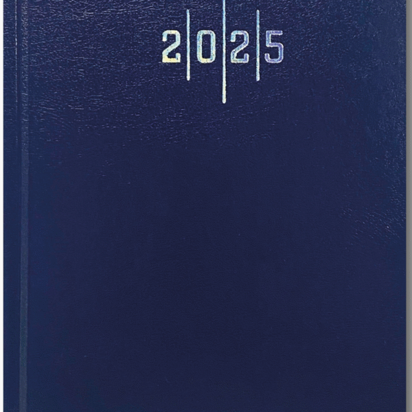 LİZ AJANDA 2026 17X24 EKONOMİK CİLT BEZİ ÇİZGİLİ AJ907