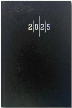 LİZ AJANDA 2026 17X24 EKONOMİK CİLT BEZİ ÇİZGİLİ AJ907 - Görsel 3