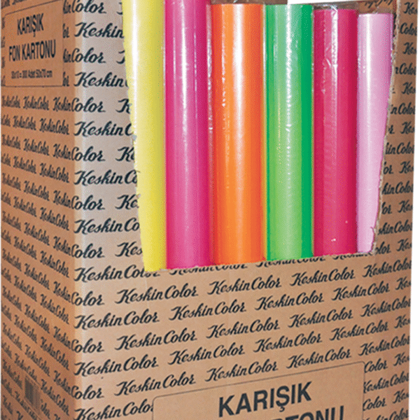 KESKİN FON KARTONU 50X70 110 GR 10 LU RULO STAND 201304-99