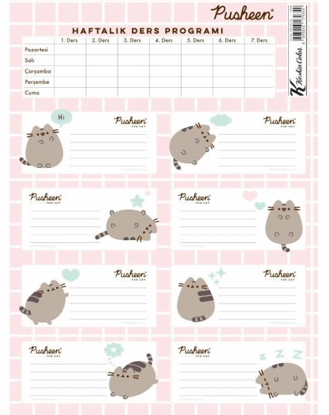 KESKİN ETİKET DERS PROGRAMLI 3 LÜ PUSHEEN 220130-10
