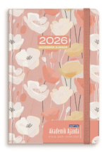 GIPTA AJANDA AKADEMİK HAFTALIK 17x24 SERT KAPAK LASTİKLİ 160-PSK - Görsel 12