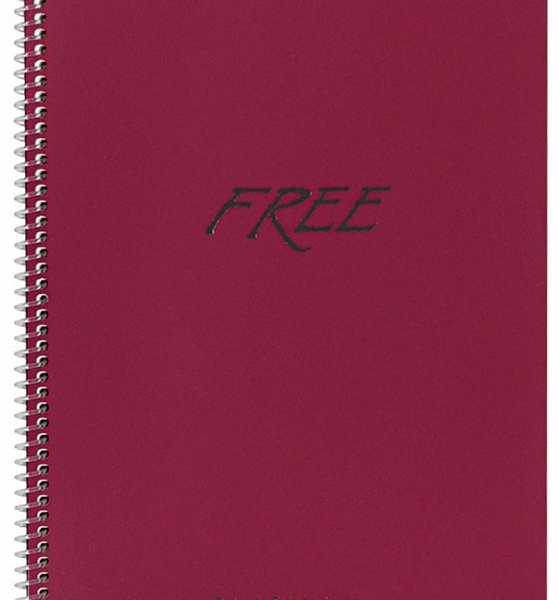 KESKİN DEFTER FREE PLATİNUM A4 PP KAPAK SPİRALLİ 80 YP. ÇİZGİLİ 320321
