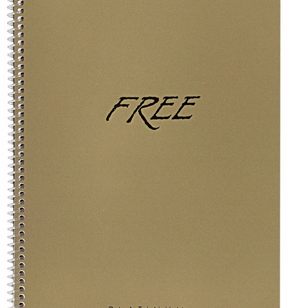 KESKİN DEFTER FREE PLATİNUM A4 PP KAPAK SPİRALLİ 100 YP. KARELİ 320342