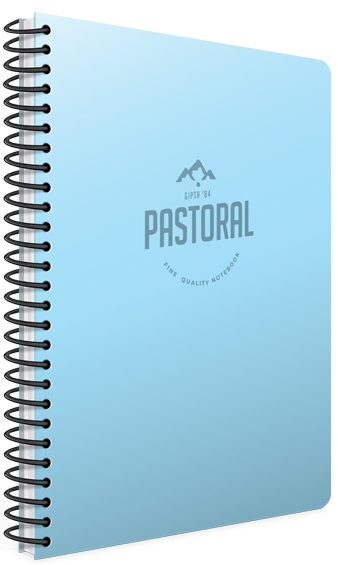 GIPTA DEFTER PASTORAL A4 SPİRALLİ PP KAPAK 120 YP. KARELİ 3248