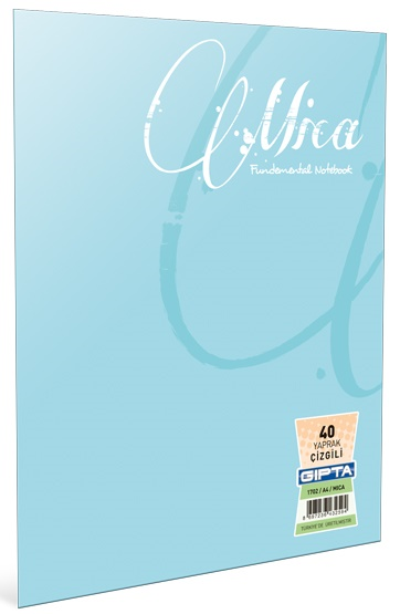 GIPTA DEFTER MICA A4 TEL DİKİŞLİ PP KAPAK 80 YP. DÜZ 2972