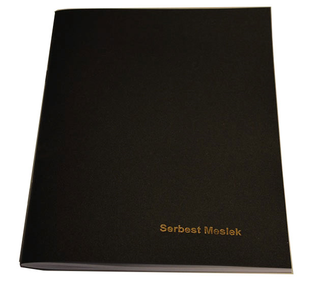 49502 DİLMAN SERBEST MESLEK DEFTERİ PP KAPAK 48 YP 7108 - Görsel 1