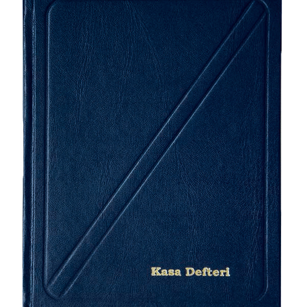 DİLMAN KASA DEFTERİ CİLTLİ 20x28 368 YP 6307