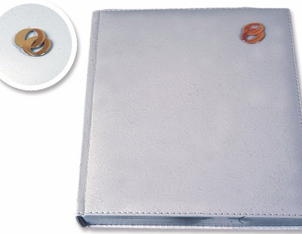 LİZ DÜĞÜN DEFTERİ 20X28 LUX 811