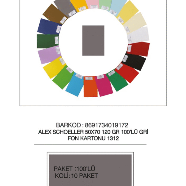 ALEX FON KARTONU 120GR 50X70 GRİ 100 LÜ 12
