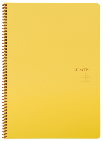 KESKİN DEFTER PASTEL NOTE A4 SPİRALLİ PP KAPAK 100 YP. ÇİZGİLİ 327741-99