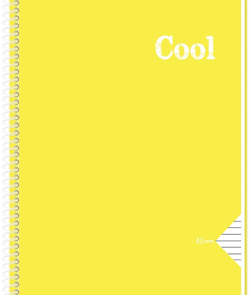 KESKİN DEFTER FREE A4 PP KAPAK SPİRALLİ 60 YP. DÜZ 320400