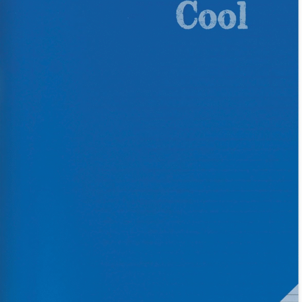 KESKİN DEFTER COOL A4 PP KAPAK 120YP. ÇİZGİLİ 321871