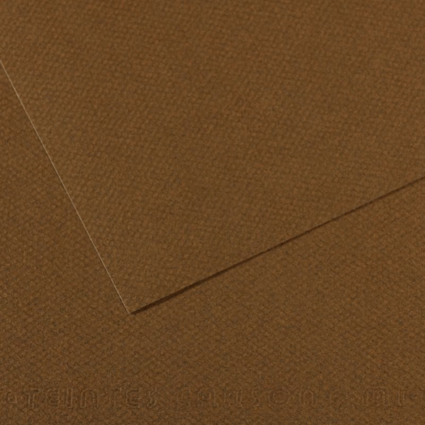 CANSON FON KARTONU MI-TEINTS 50x65 160 GR ( 10 LU PAKET ) TÜTÜN 501 31033S122