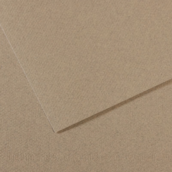 CANSON FON KARTONU MI-TEINTS 50x65 160 GR ( 10 LU PAKET ) KEÇİ GRİSİ 429 31033S119