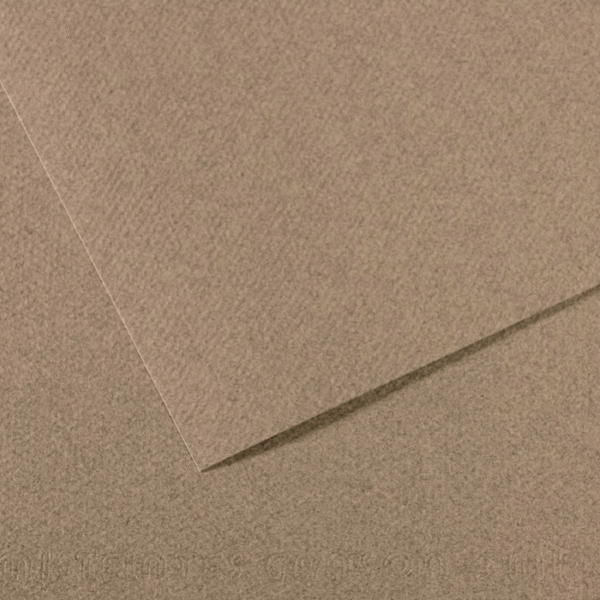 CANSON FON KARTONU MI-TEINTS 50x65 160 GR ( 10 LU PAKET ) ÇELİK MAVİSİ 431 31033S120