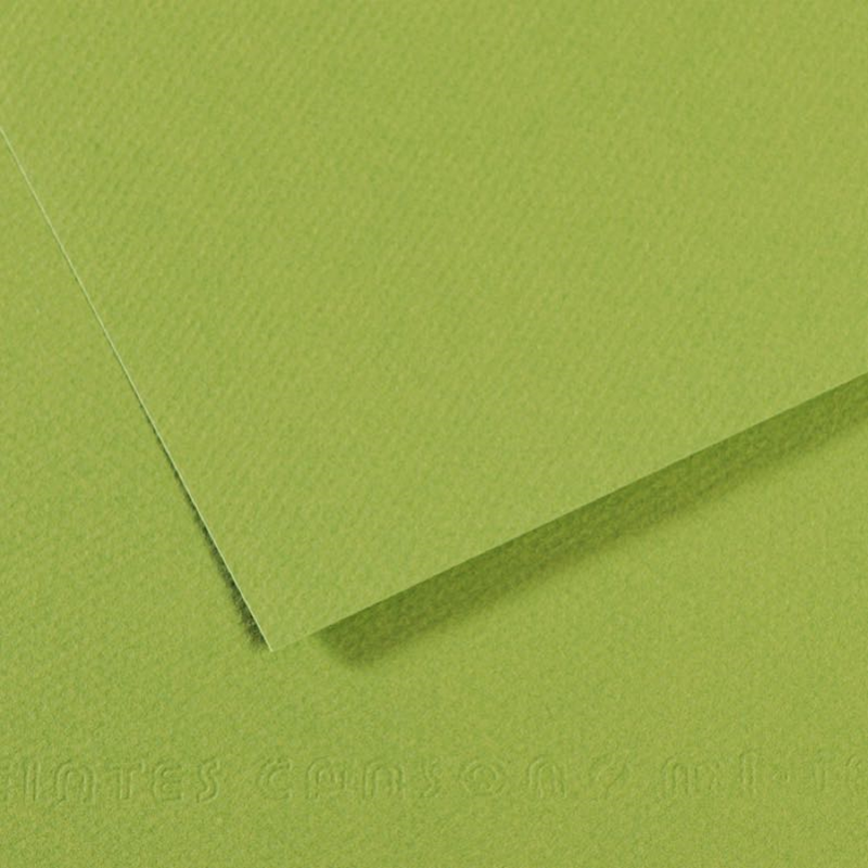 97810 CANSON FON KARTONU MI-TEINTS 50x65 160 GR ( 10 LU PAKET ) ELMA YEŞİLİ 475 31032S106 - Görsel 1