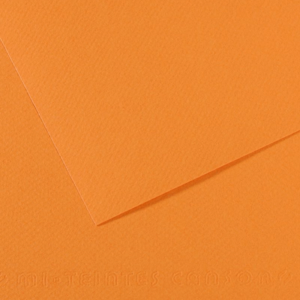 CANSON FON KARTONU MI-TEINTS 50x65 160 GR ( 10 LU PAKET ) SOMON 384 31032S102