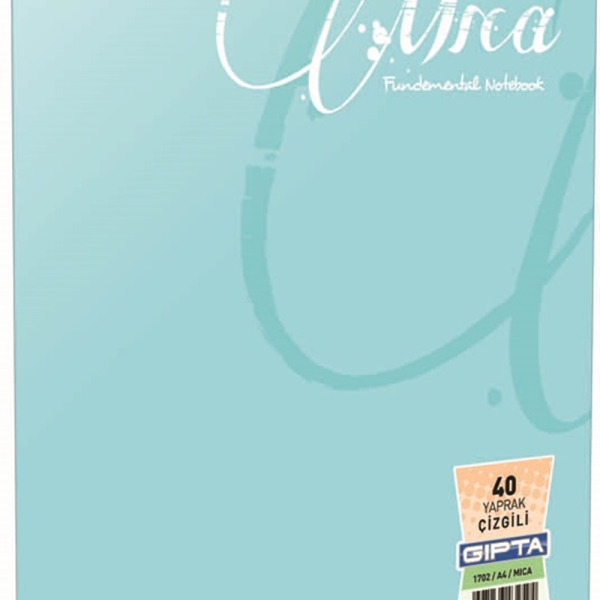 GIPTA DEFTER MICA A5 TEL DİKİŞLİ PP KAPAK 100 YP. KARELİ 2935