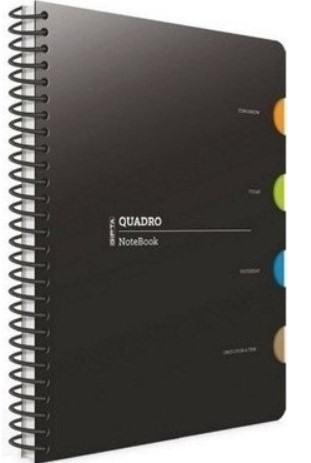 GIPTA DEFTER QUADRO A4 SPİRALLİ PP KAPAK 4 SEPERATÖRLÜ 150 YP. KARELİ 5549