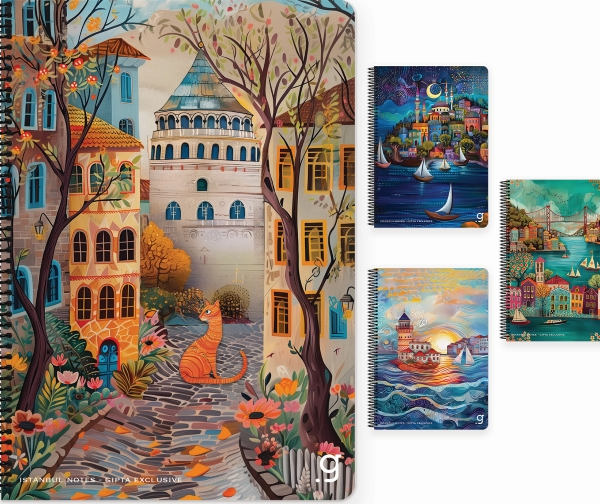 GIPTA DEFTER İSTANBUL 17x24 SPİRALLİ SERT KAPAK 80 YP ÇİZGİLİ 7335
