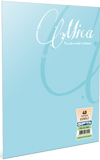 GIPTA DEFTER METAL NOTES A4 SPİRALLİ PP KAPAK 80 YP. KARELİ 4470