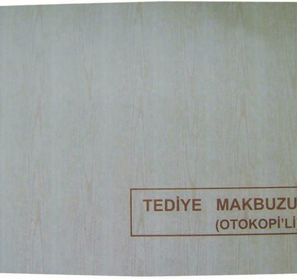 DİLMAN TEDİYE MAKBUZU 2/50 3 NÜSHA 4025