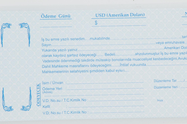 DİLMAN SENET DOLAR 100 LÜ 2317