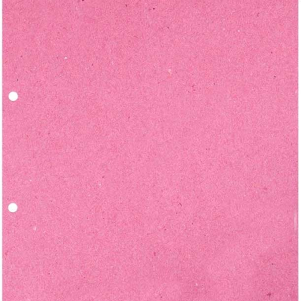 ALEMDAR ARA KARTONU A4 100 LÜ