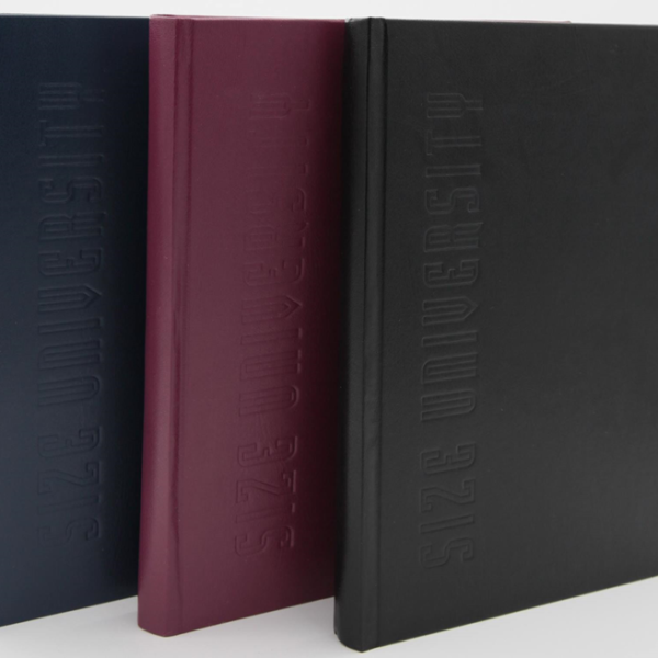 DİLMAN DEFTER ÜNİVERSİTE DİKİŞLİ SERT KAPAK 20x28 300 YP ÇİZGİLİ 6816